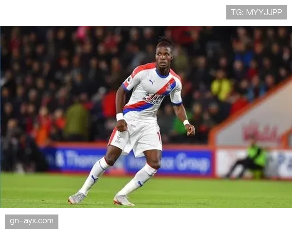 狼队战术革新：新赛季提升竞争力的关键策略引关注