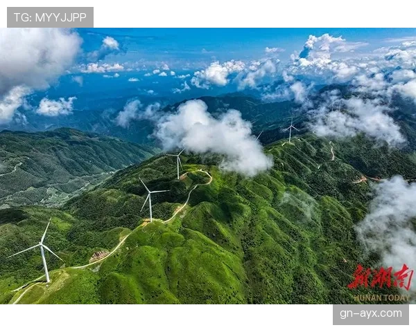 南安普顿加速绿色转型，社区复兴与可持续发展成焦点